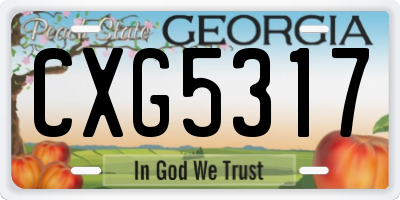 GA license plate CXG5317