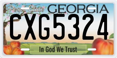 GA license plate CXG5324