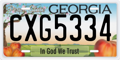 GA license plate CXG5334