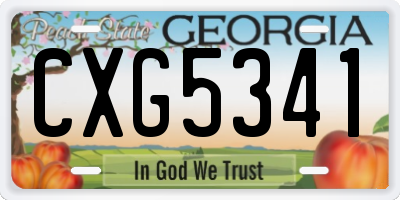 GA license plate CXG5341