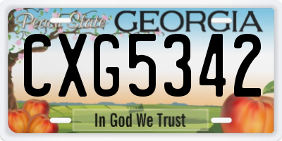 GA license plate CXG5342