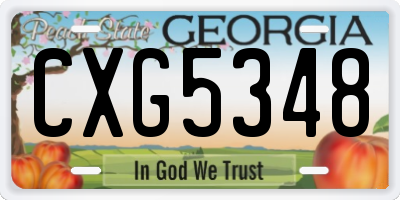GA license plate CXG5348