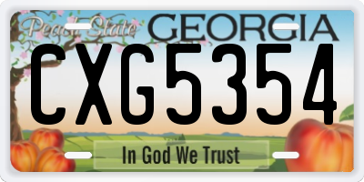 GA license plate CXG5354