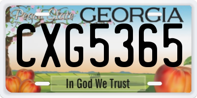 GA license plate CXG5365