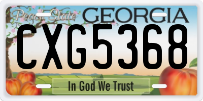 GA license plate CXG5368