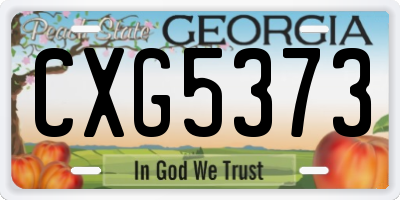 GA license plate CXG5373