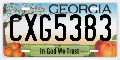 GA license plate CXG5383
