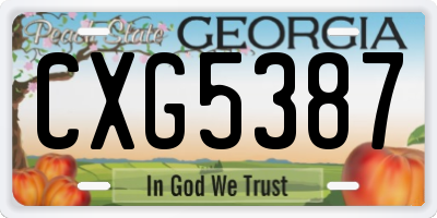 GA license plate CXG5387