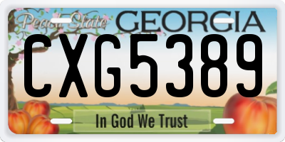 GA license plate CXG5389