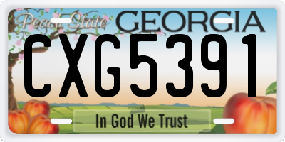 GA license plate CXG5391