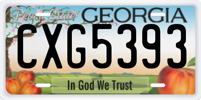 GA license plate CXG5393