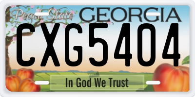 GA license plate CXG5404