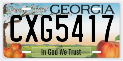 GA license plate CXG5417