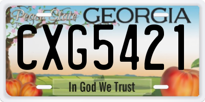 GA license plate CXG5421