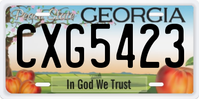 GA license plate CXG5423