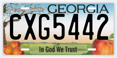 GA license plate CXG5442