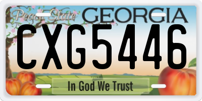 GA license plate CXG5446