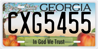 GA license plate CXG5455