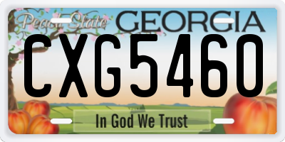 GA license plate CXG5460