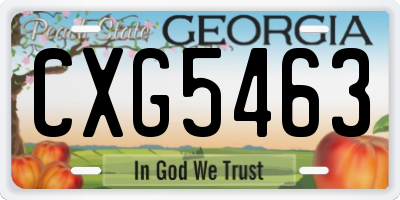 GA license plate CXG5463