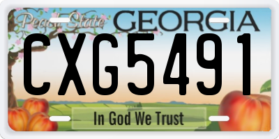 GA license plate CXG5491