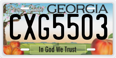 GA license plate CXG5503