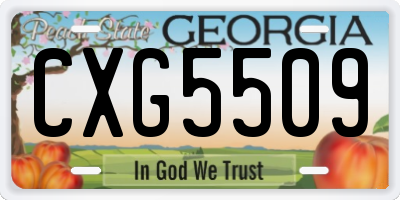 GA license plate CXG5509