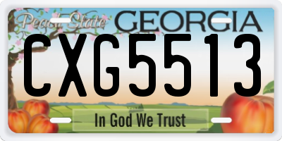 GA license plate CXG5513