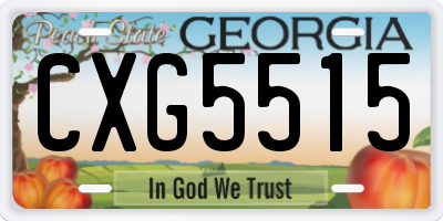GA license plate CXG5515