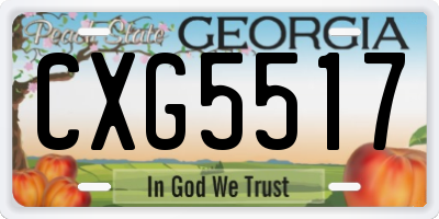 GA license plate CXG5517