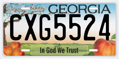 GA license plate CXG5524