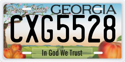GA license plate CXG5528