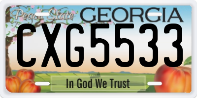 GA license plate CXG5533