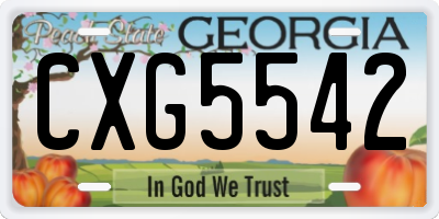 GA license plate CXG5542