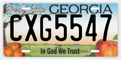 GA license plate CXG5547