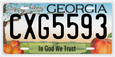 GA license plate CXG5593