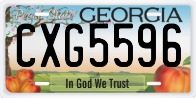 GA license plate CXG5596