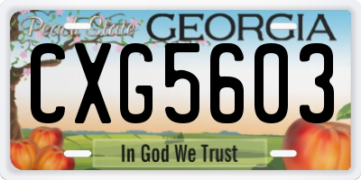 GA license plate CXG5603