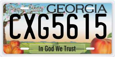 GA license plate CXG5615