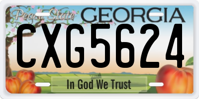 GA license plate CXG5624