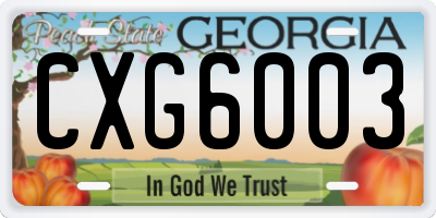 GA license plate CXG6003