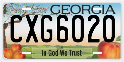 GA license plate CXG6020