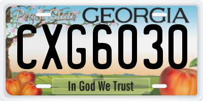GA license plate CXG6030