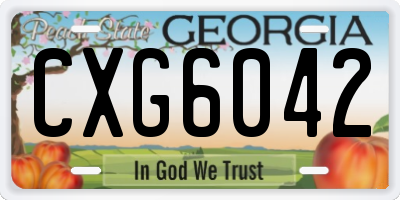 GA license plate CXG6042