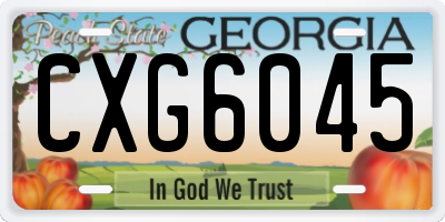 GA license plate CXG6045