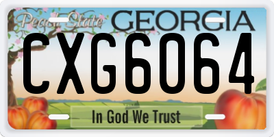 GA license plate CXG6064
