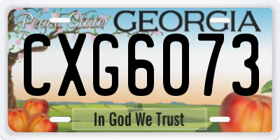 GA license plate CXG6073