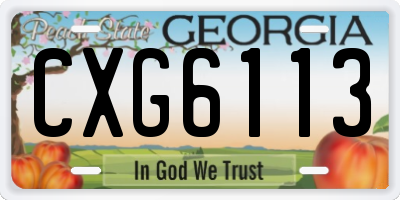 GA license plate CXG6113