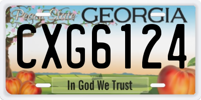 GA license plate CXG6124