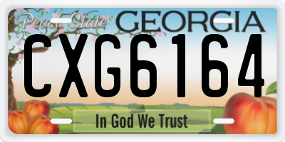 GA license plate CXG6164